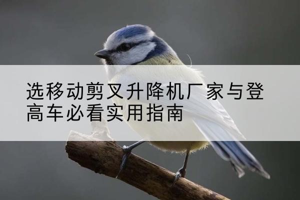 无棣电动升降机厂家-选移动剪叉升降机厂家与登高车必看实用指南
