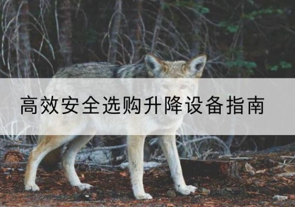 无棣升降货梯厂家推荐-*安全选购升降设备指南