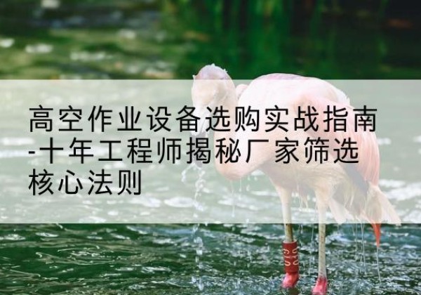 无棣剪叉式升降机厂家-高空作业设备选购实战指南-十年工程师揭秘厂家筛选核心法则